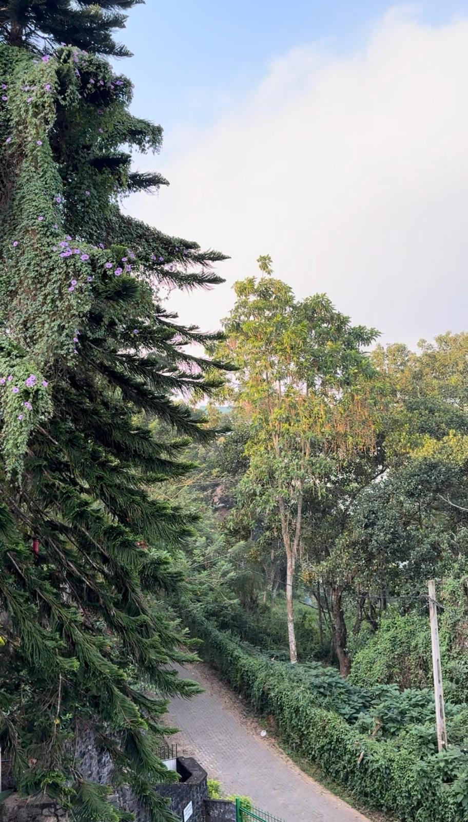 Views of the Driveway of the KNDY